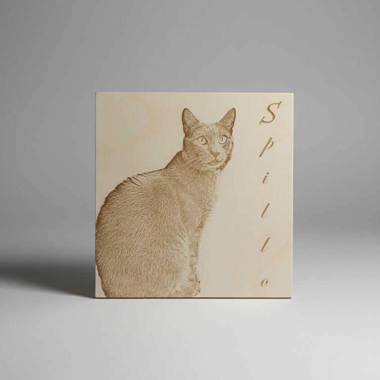 Dream board – Personalizzabile con foto e testo